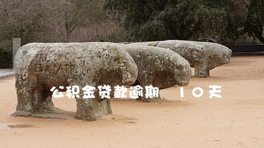 公积金贷款逾期 10天 公积金贷款逾期 10天